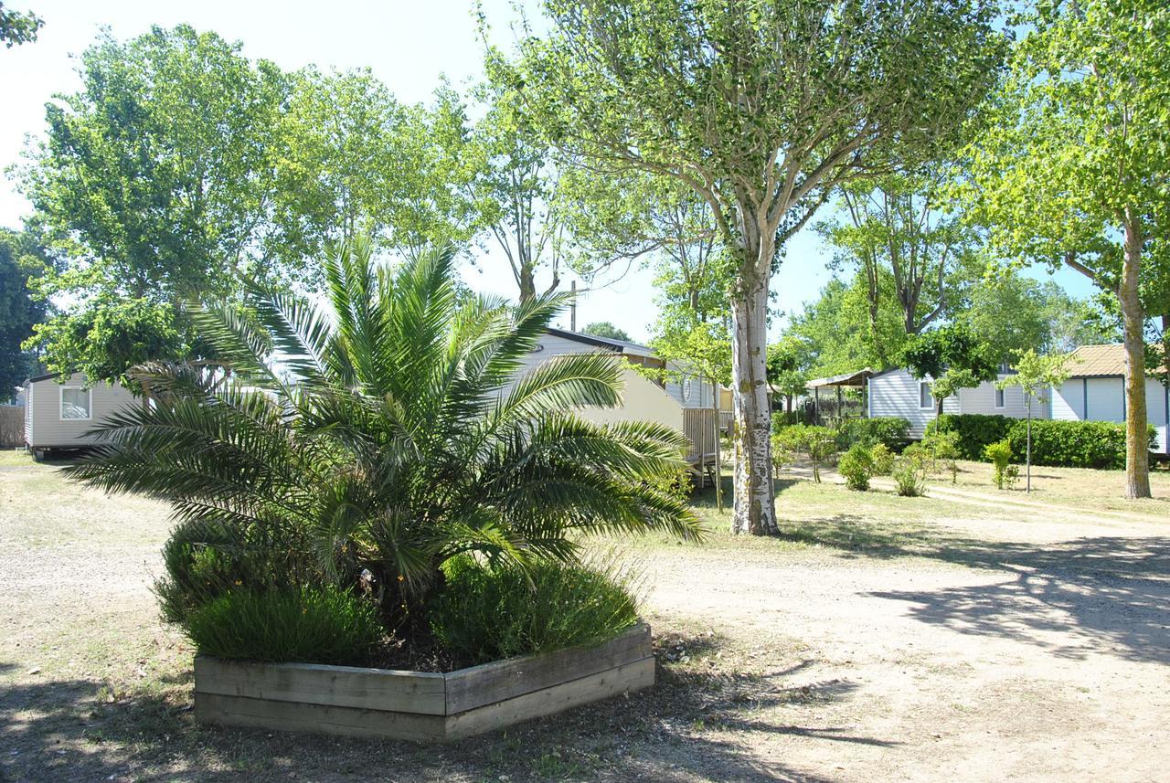 Camping La Dune Vias Exterior foto